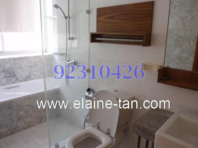 Gardenvista (D21), Condominium #128829962